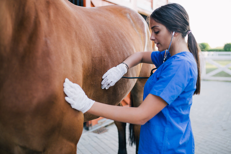 VETERINARIANS